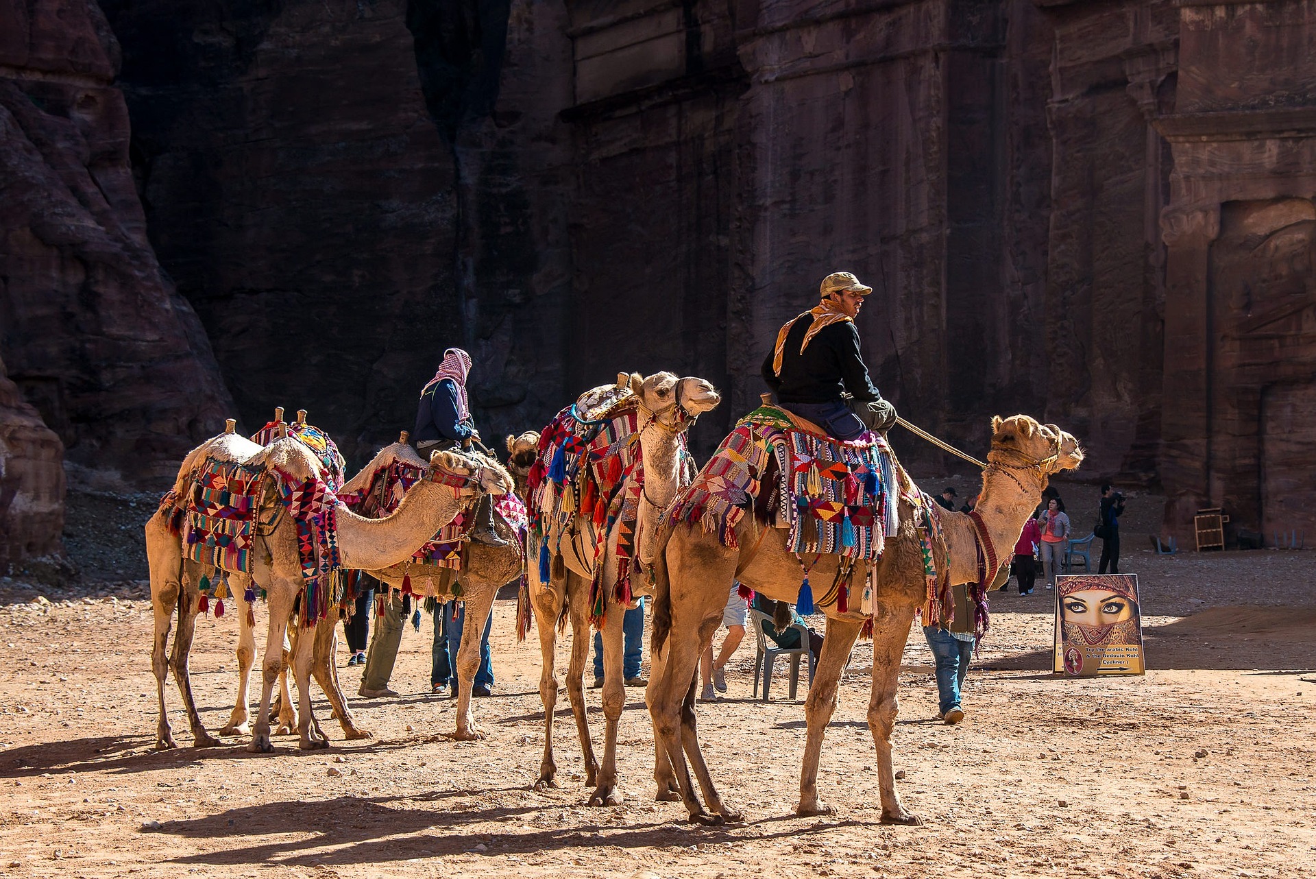 kamelen in jordanie